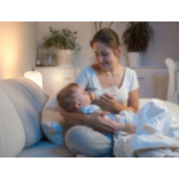 Ночник Evolution A100