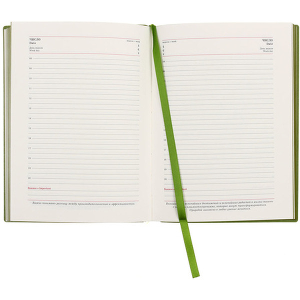 Ежедневник САРИФ САЛАТОВЫЙ 45267/А6+, 320стр. ФЕНИКС