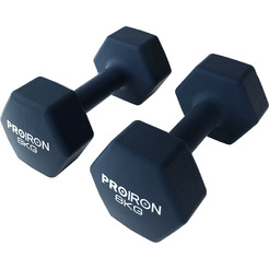 Гантели Proiron Г2080НГ (2шт по 8кг)