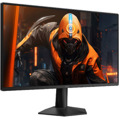 Монитор AOC Gaming 24G50Z2