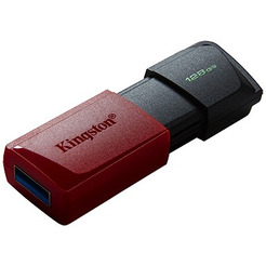 Флэш накопитель Kingston Exodia M 128GB (DTXM/128GB)