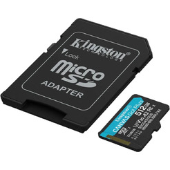 Карта памяти Kingston Canvas Go! Plus microSDXC 256GB (SDCG4/256GB)
