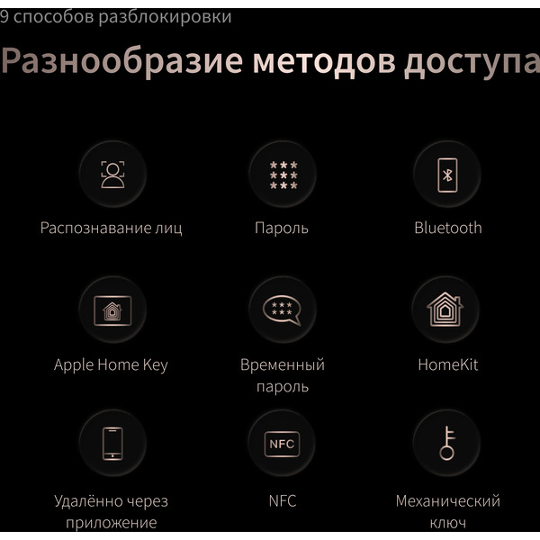Умный замок Aqara D200i (ML-D01D) черный