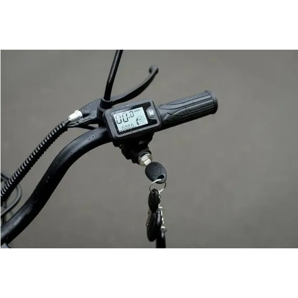 Электровелосипед AVM E-ALFA 20 Pro (черный)