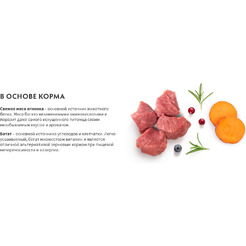 Сухой корм для собак Grandorf Adult Medium&Maxi Breeds Fresh Lamb&Sweet Potato (10кг)