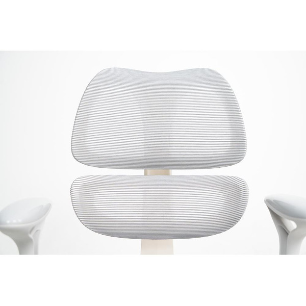 Стул регулируемый Ergosmart Antey GREY/чехол T14 GREEN