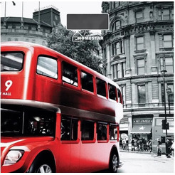 Напольные весы HomeStar HS-6001F