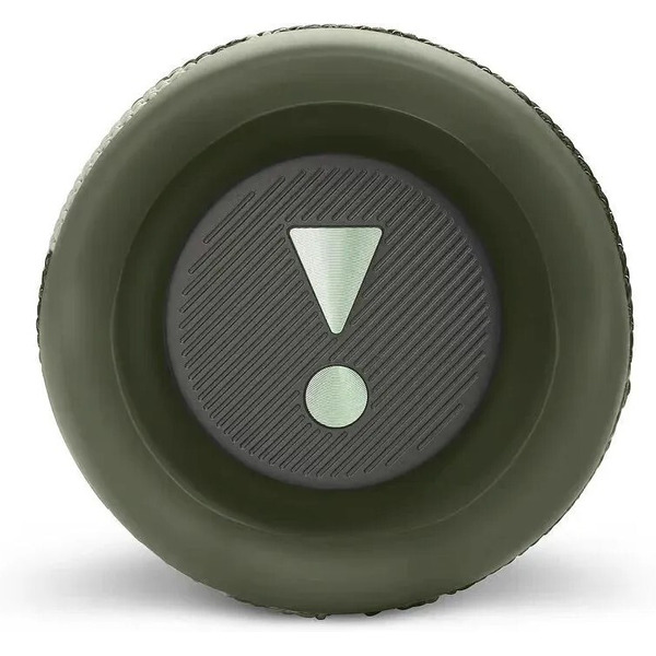 Беспроводная колонка JBL Flip 6 (камуфляж)