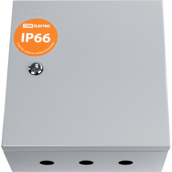 Корпус металлический TDM ЩУ-1ф/1-1-6 IP66 (2 двери) (310х300х150) SQ0905-0094