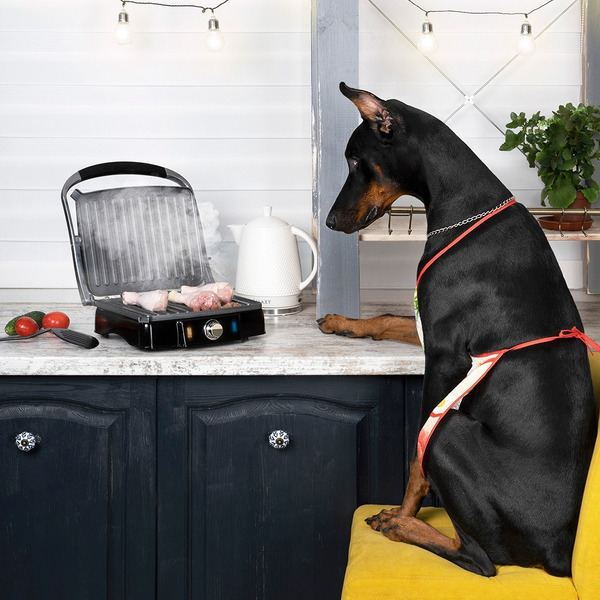 Электрогриль Galaxy GL2961