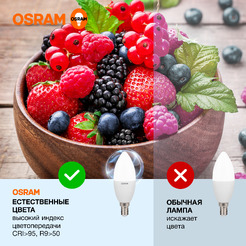 Лампа светодиодная OSRAM B60 7W6500К 230V E14 10X1