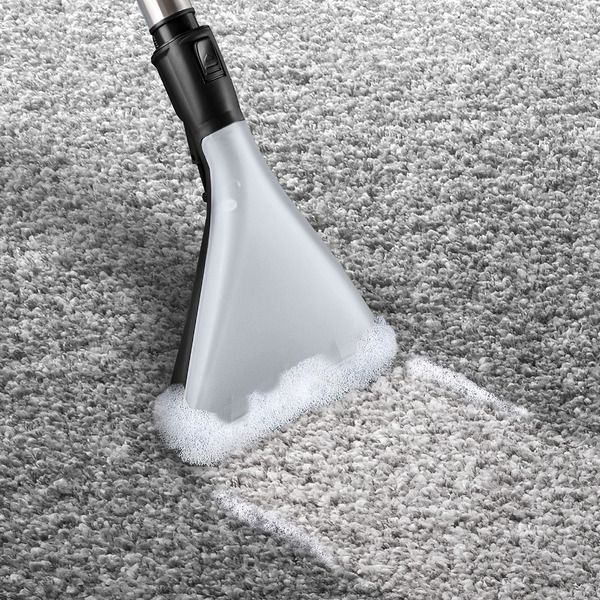 Моющий пылесос Bosch Serie 4 BWD41740