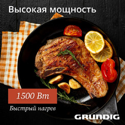 Аэрогриль Grundig FRY 6321 L (8917373600)