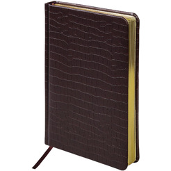 Ручка PARKER Jotter Core Stainless Steel GT (ежедневник А5 коричневый, пакет) 880890