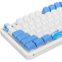 Клавиатура Red Square Alumix TKL Aquarius v2 RSQ-20064 (g3ms Sapphire)