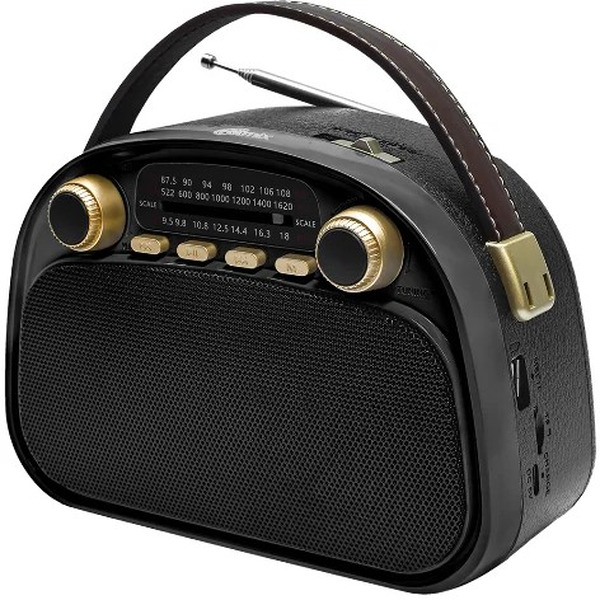 Радиоприёмник RITMIX RPR-040 (черный)