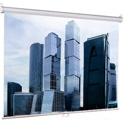 Проекционный экран Lumien Eco Picture 192x137 LEP-100126