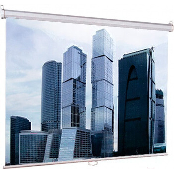 Проекционный экран Lumien Eco Picture 192x137 LEP-100126