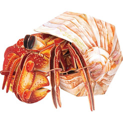 Конструктор Makebug Bring Nature Home Рак-отшельник MB-B-0008