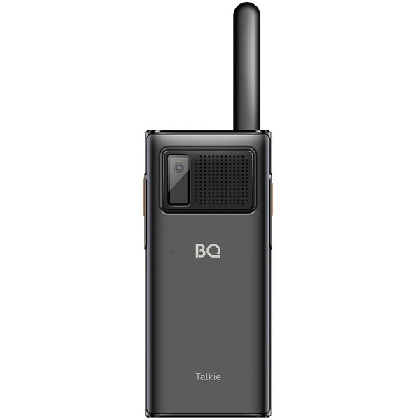 Мобильный телефон BQ 2010 Talkie (черный)