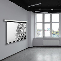 Проекционный экран CACTUS MotoExpert 240x180 CS-PSME-240x180-WT