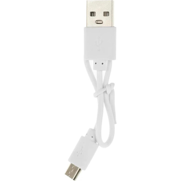 Внешний аккумулятор Red Line RP52 10000mAh (черный)