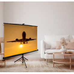 Экран CACTUS Triscreen CS-PST-124x221