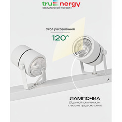 Светильник под лампу TRUENERGY FOCUS 21469