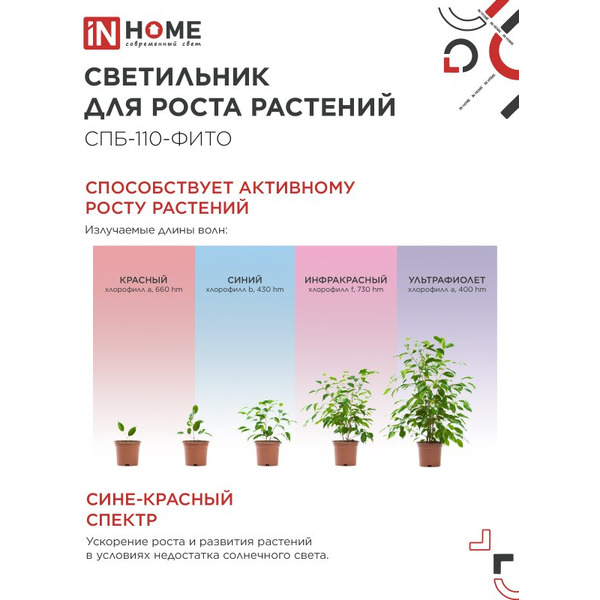 Светильник светодиодный IN HOME СПБ-110 STD-ФИТО красно-синий спектр (4690612057033)