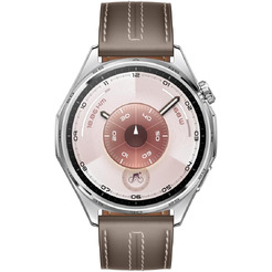 Смарт-часы HUAWEI Watch GT 6 46mm (ATM-B19) серебристый, с коричневым кожаным ремешком