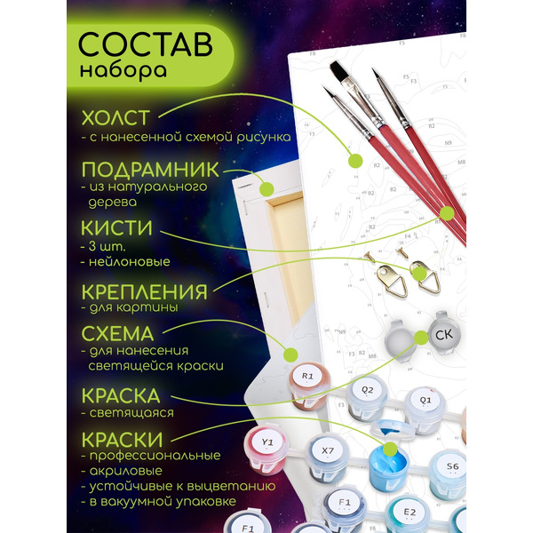 Картина по номерам Флюид Фантазийные грибы 40x50 FHR0429