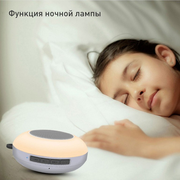 Беспроводная колонка Evolution X1