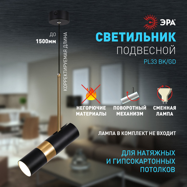 Потолочный светильник ЭРА PL33 BK/GD MR16 GU10 (черный/золото)