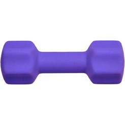 Гантель неопреновая BRADEX SF 0544 4 кг (фиолетовый)