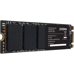Накопитель SSD Digma DGSR1002TS93T