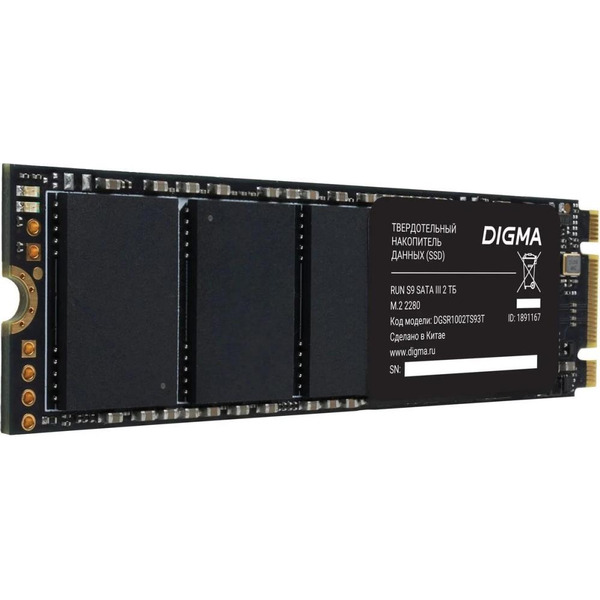 Накопитель SSD Digma DGSR1002TS93T