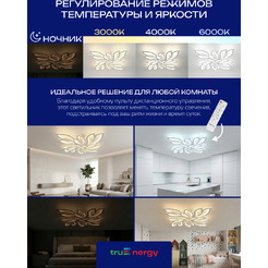 Люстра Truenergy 11193