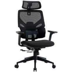 Кресло компьютерное EVOLUTION LumbarPro