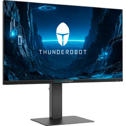 Игровой монитор Thunderobot Black Warrior 25F300L