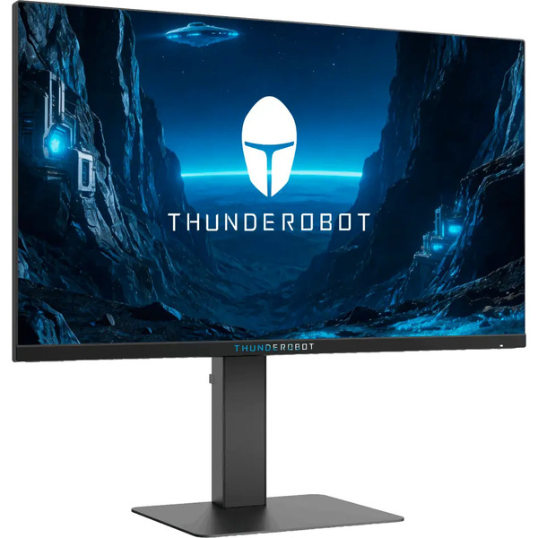 Игровой монитор Thunderobot Black Warrior 25F300L