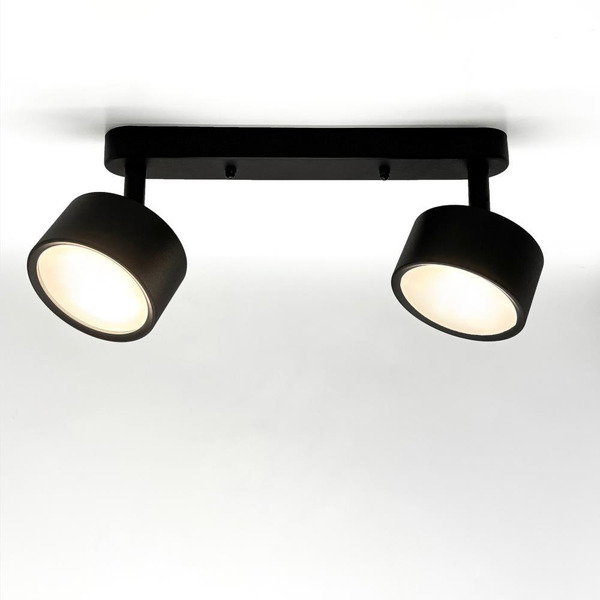 Светильник накладной поворотный TRUENERGY 21464