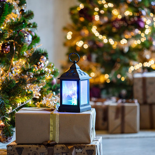 Декоративный фонарь NEON-NIGHT 513-064