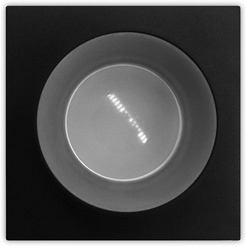 Точечный светильник Ambrella light Techno Spot TN326 SBK