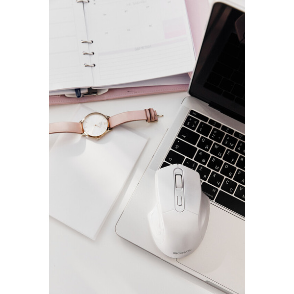 Мышь CANYON CNE-CMSW15PW
