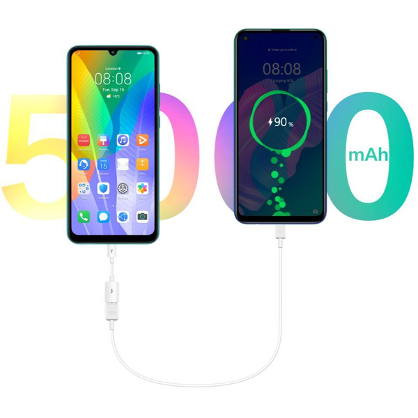 Смартфон Huawei Y6p (MED-LX9N) полночный черный