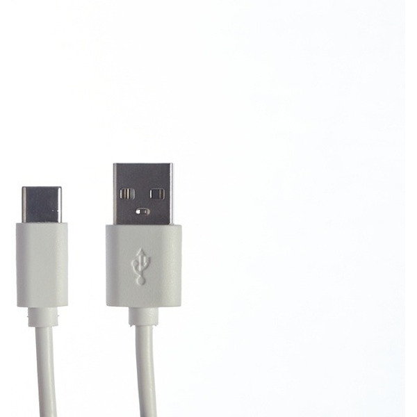 Зарядное устройство Bingo B1-U2 (с кабелем USB Type-C)