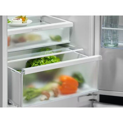 Холодильник Electrolux E6MNTE19S