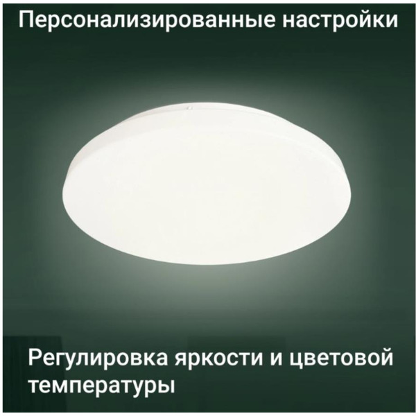 Умный светильник Digma TopLight TL25