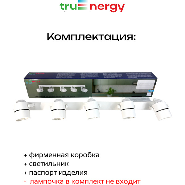 Светильник под лампу TRUENERGY FOCUS 21467