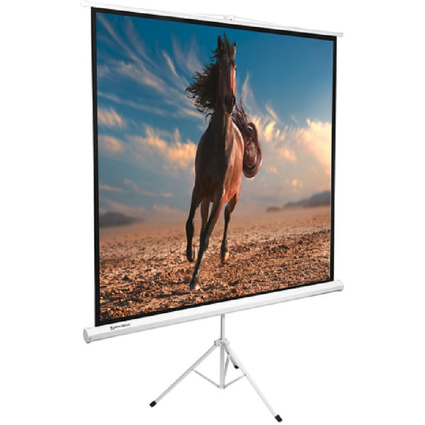 Экран проекционный на треноге BRAUBERG TRIPOD (200х200см), матовый